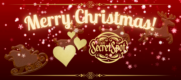 Merry Christmas love Our Secret Spot Sydney Swingers adults play party venue ENM
