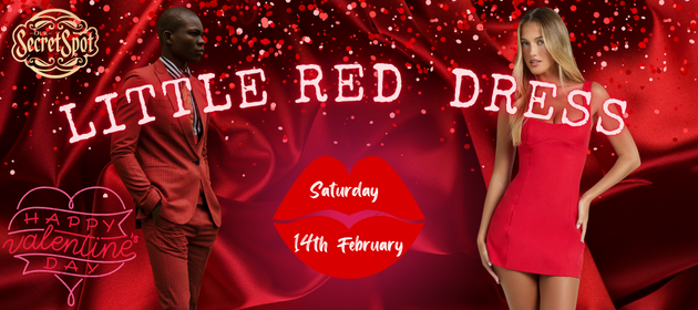 Little Red Dress Valentines Day Our Secret Spot Swingers Party Sydney ENM Adult Play